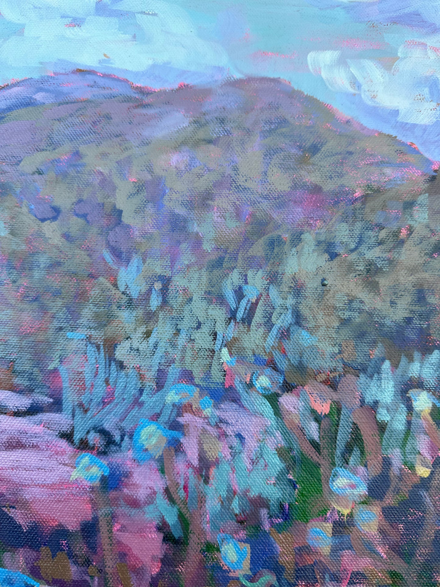 Daucus Carota 20x30 inches