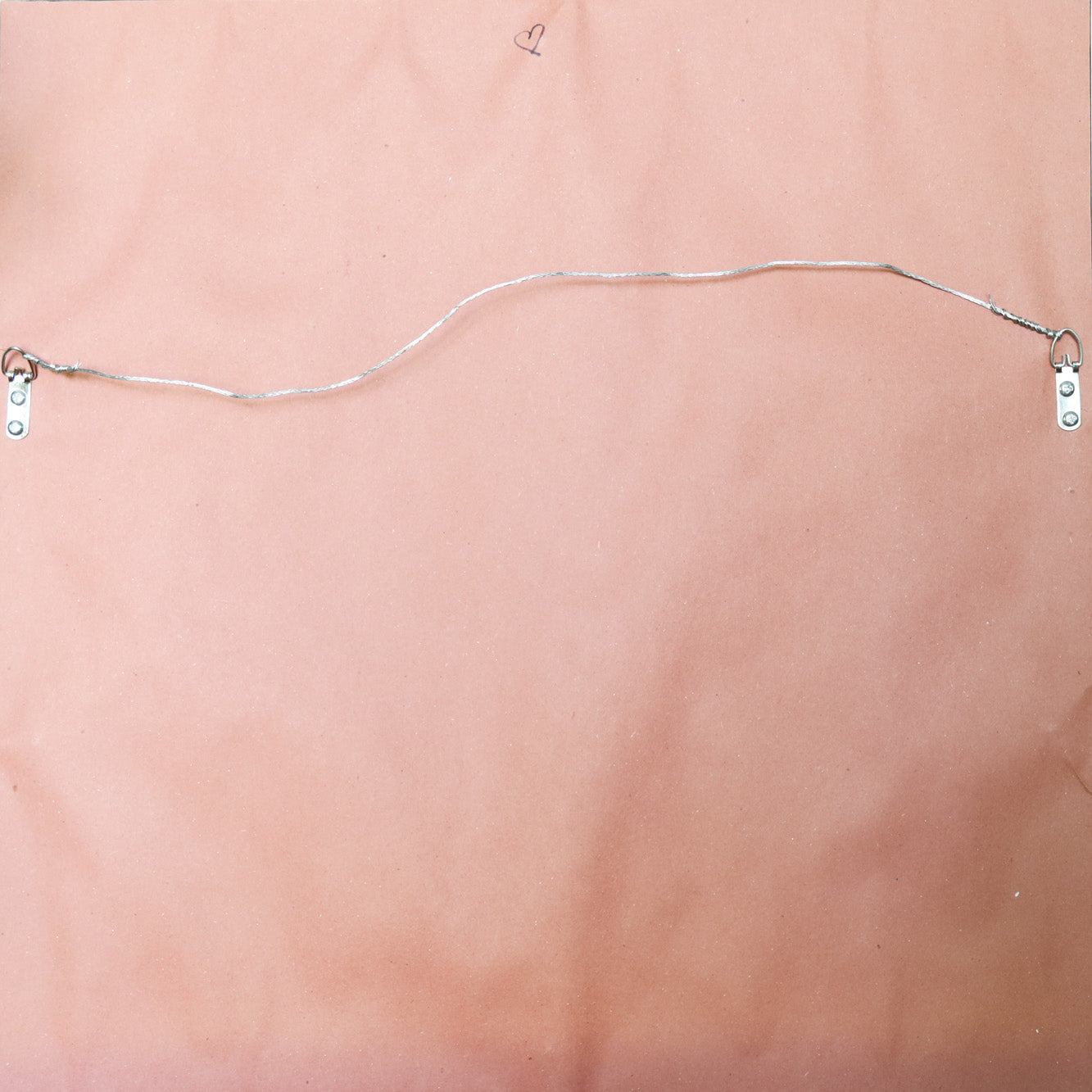 Cone Flowers 18x18 inches