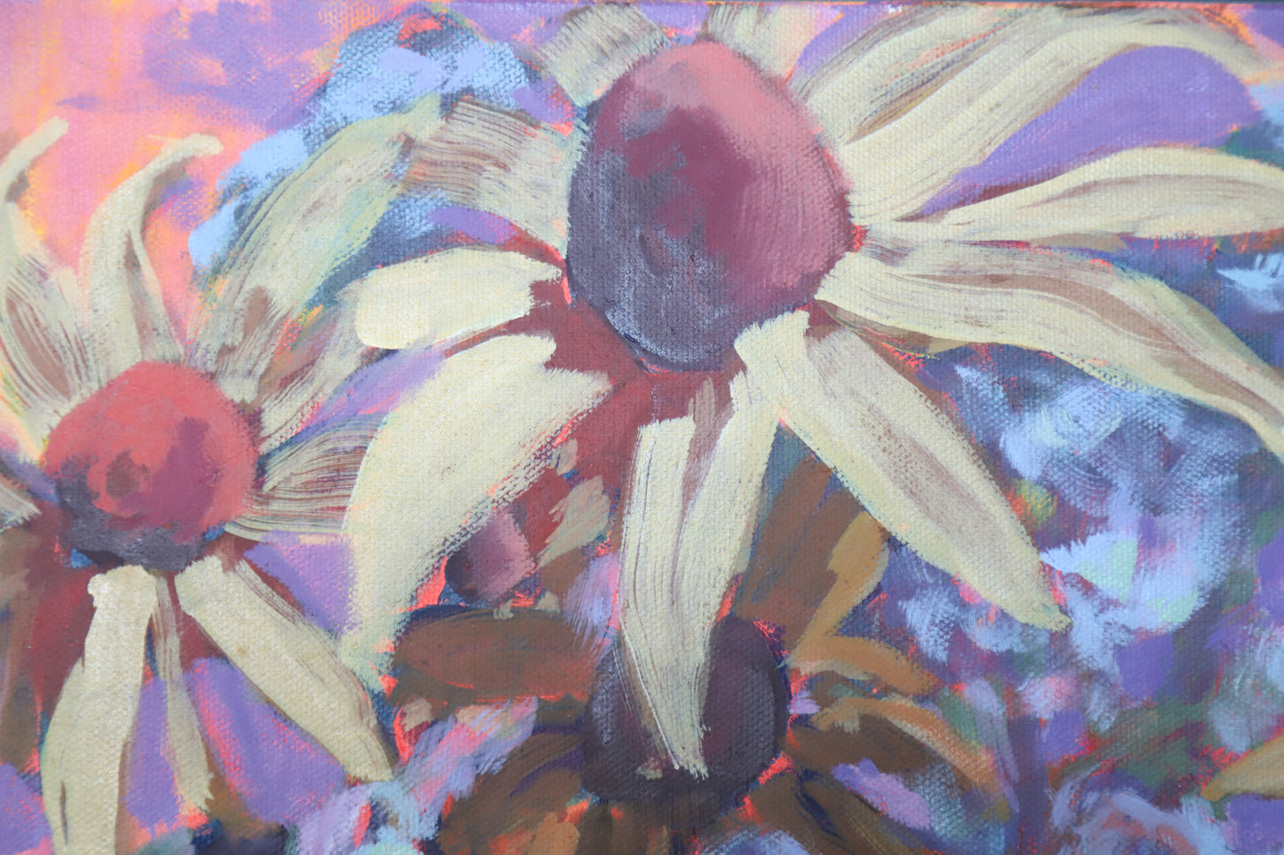 Cone Flowers 18x18 inches