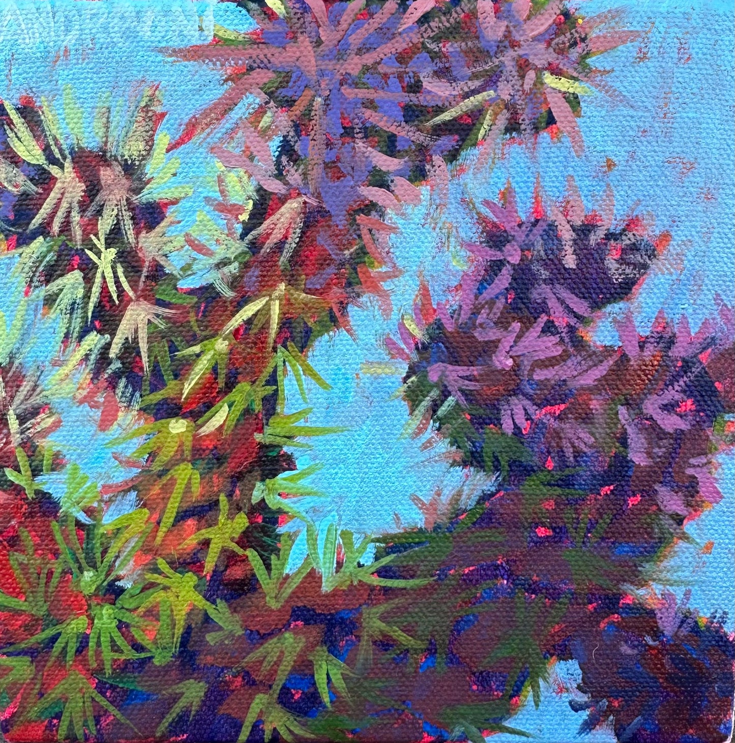 Mini Painting: Buckhorn Cholla 6x6 inches