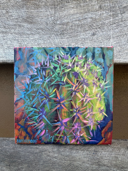 Mini Painting: Baby Golden Barrel 6x6 inches