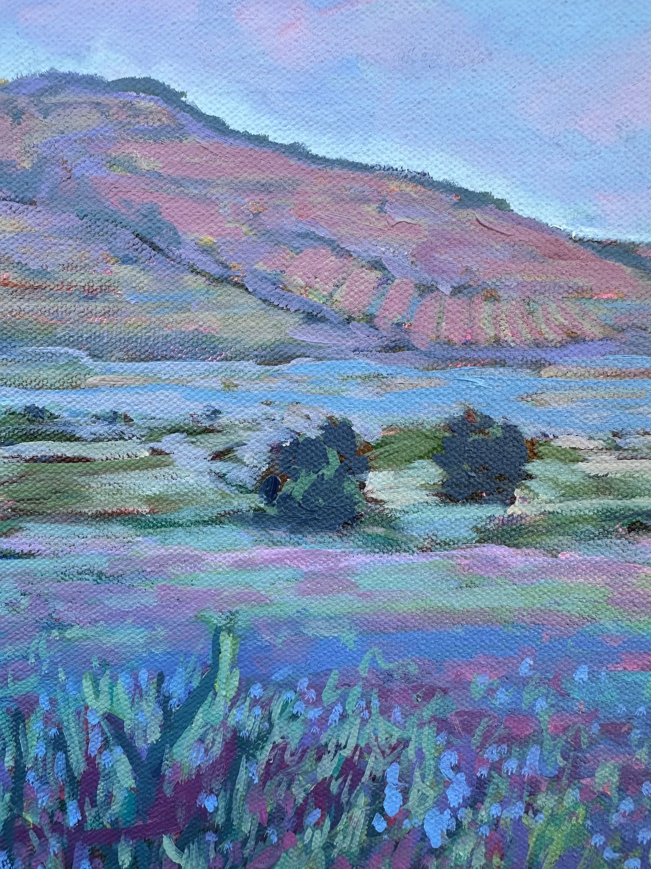 Marmilla Poppies, Sardinia, Italy 16x16 inches