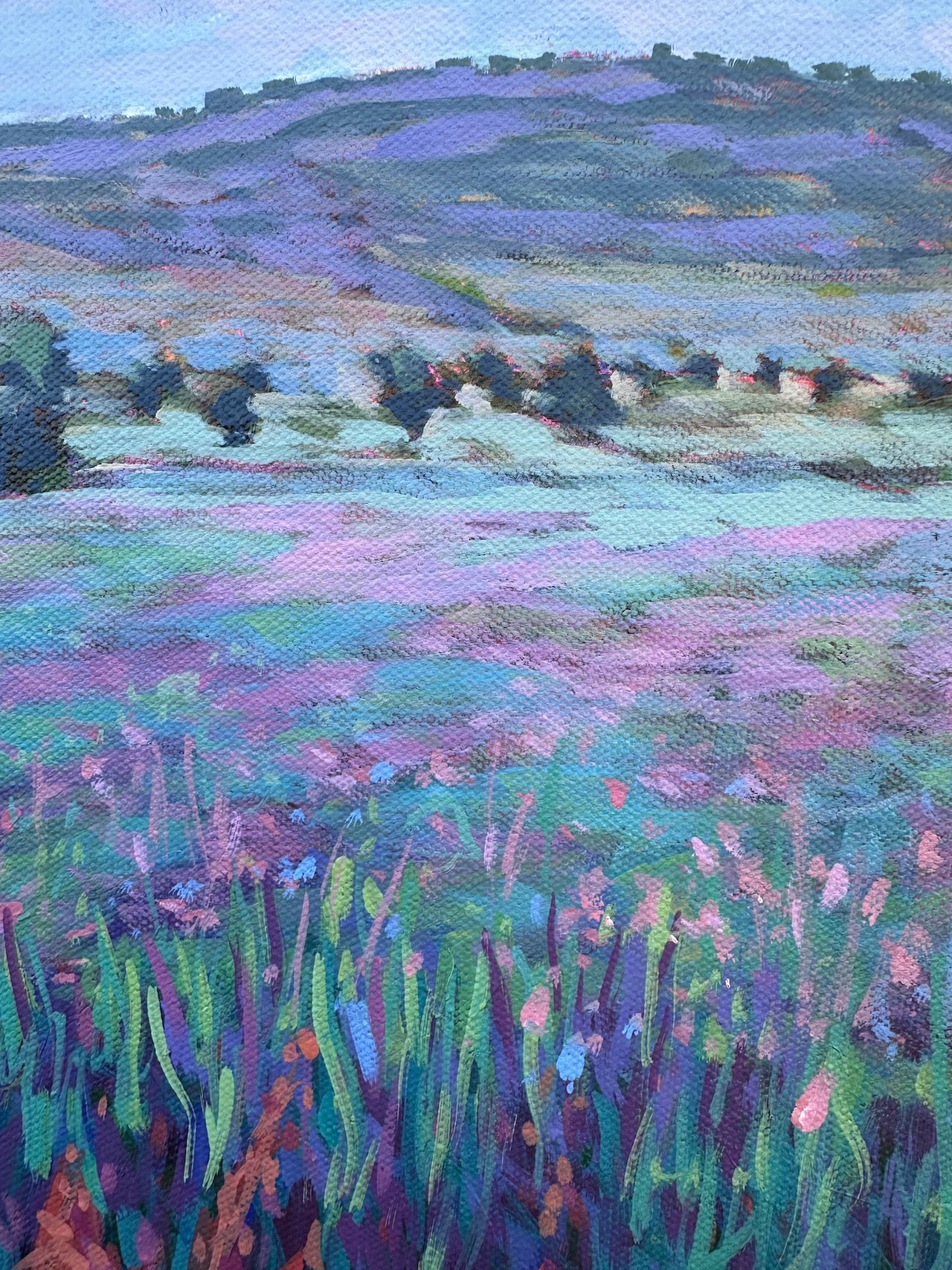 Marmilla Poppies, Sardinia, Italy 16x16 inches