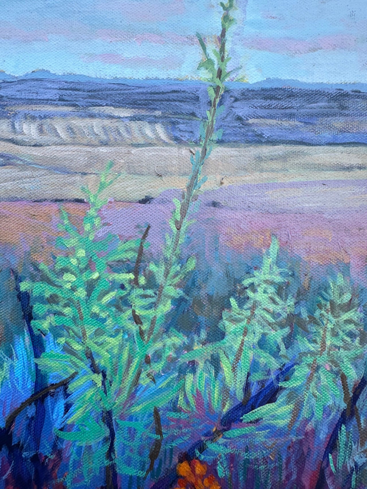 Marmilla Fields, Sardina, Italy 16x16 inches