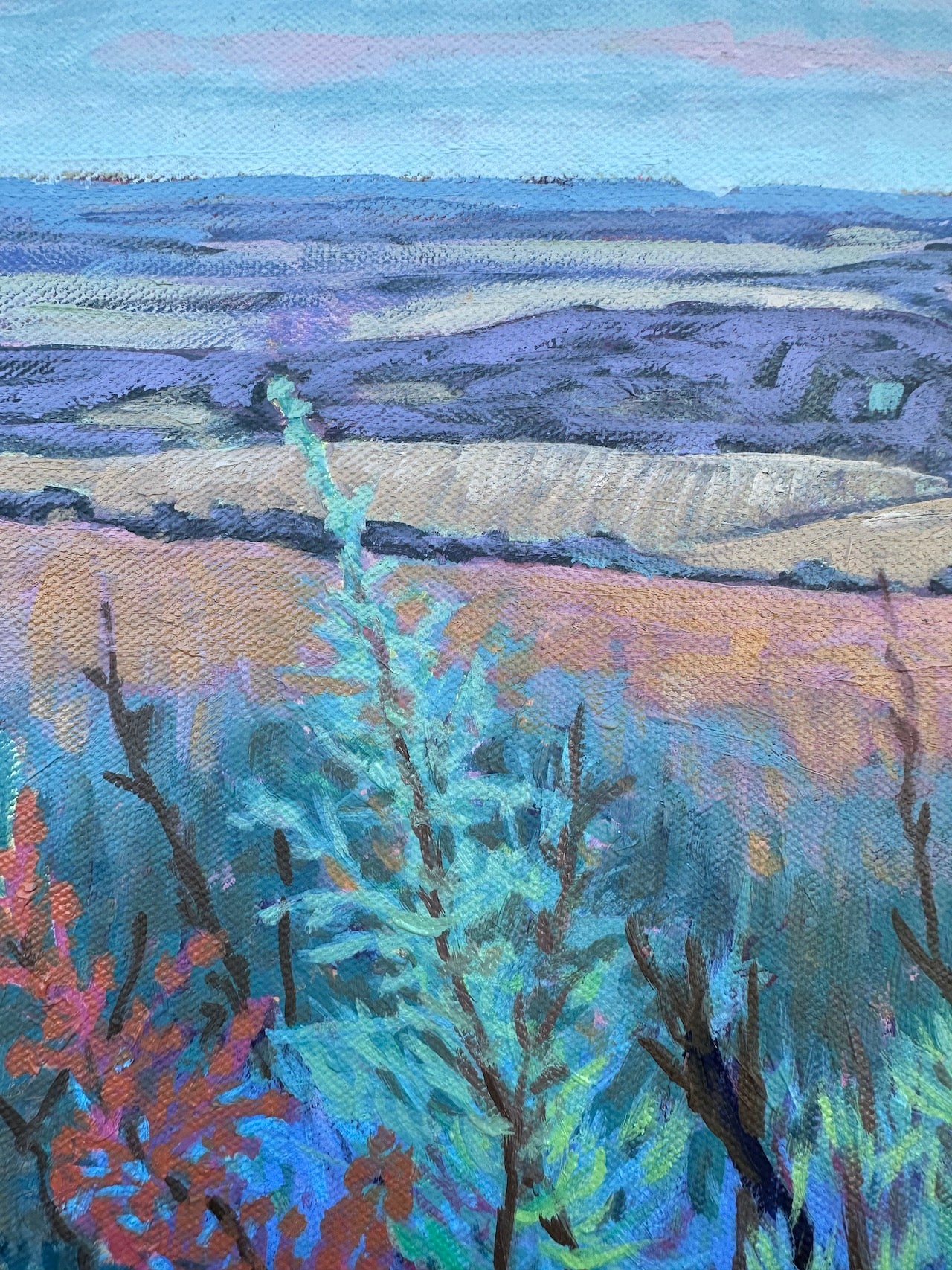 Marmilla Fields, Sardina, Italy 16x16 inches