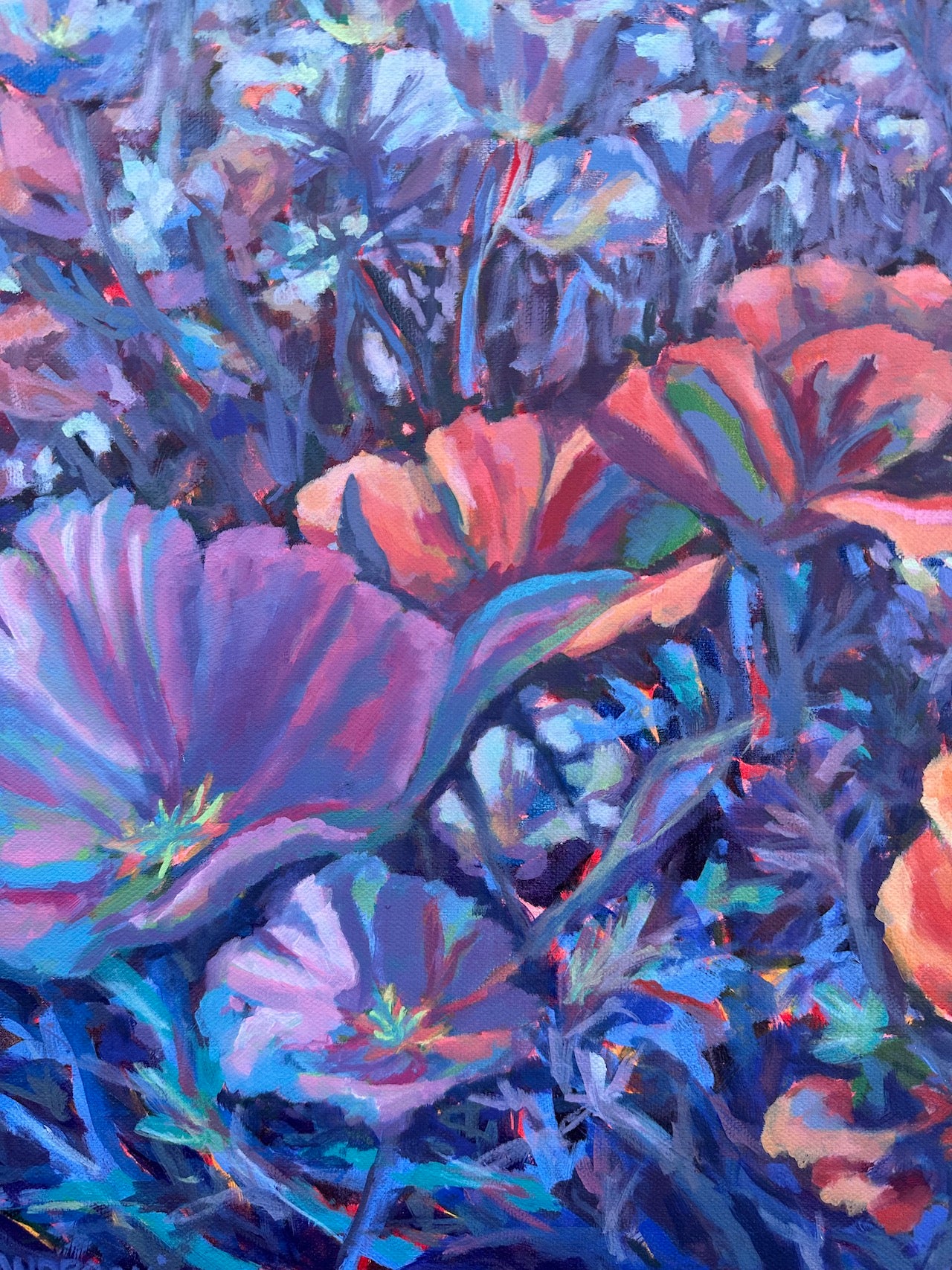 Spring Poppies 20x24 inches