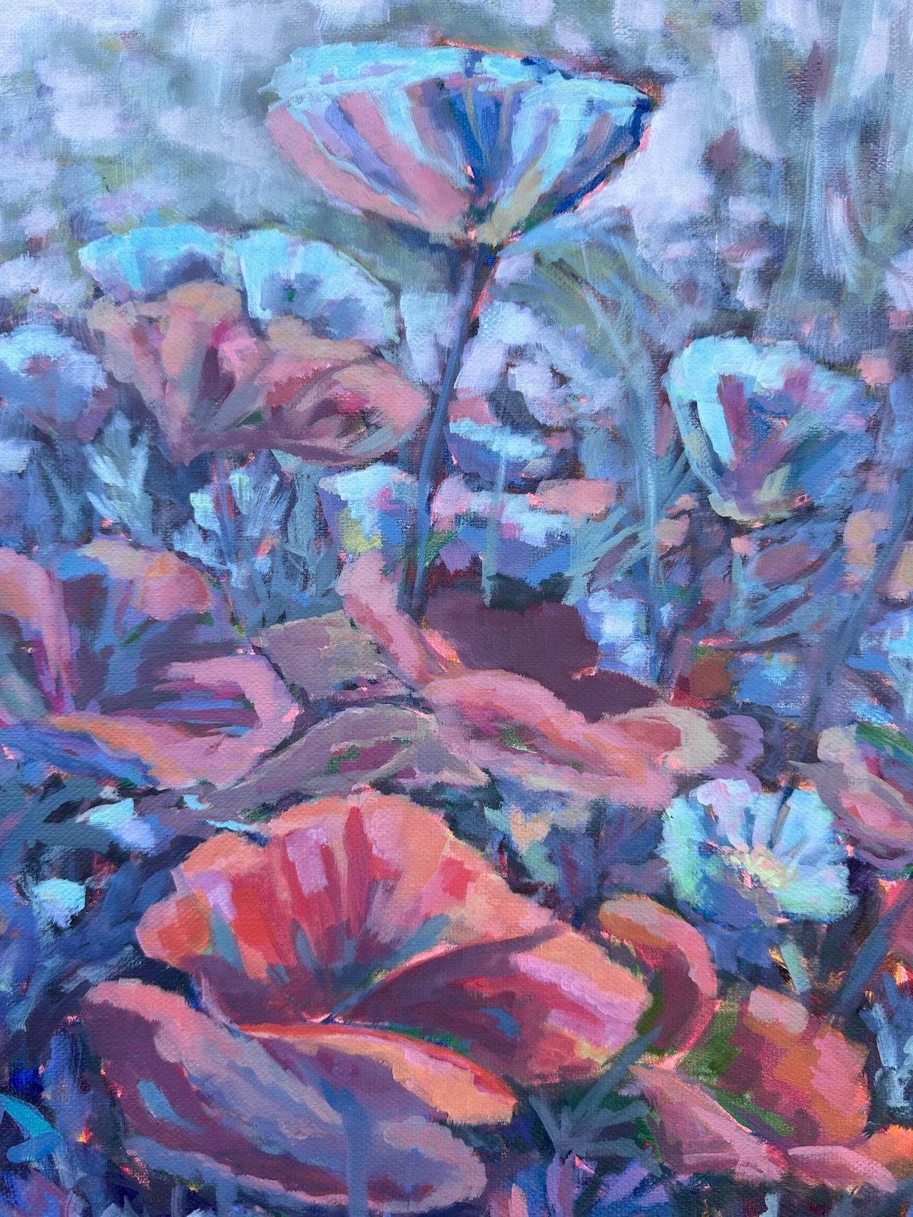 Spring Poppies 20x24 inches