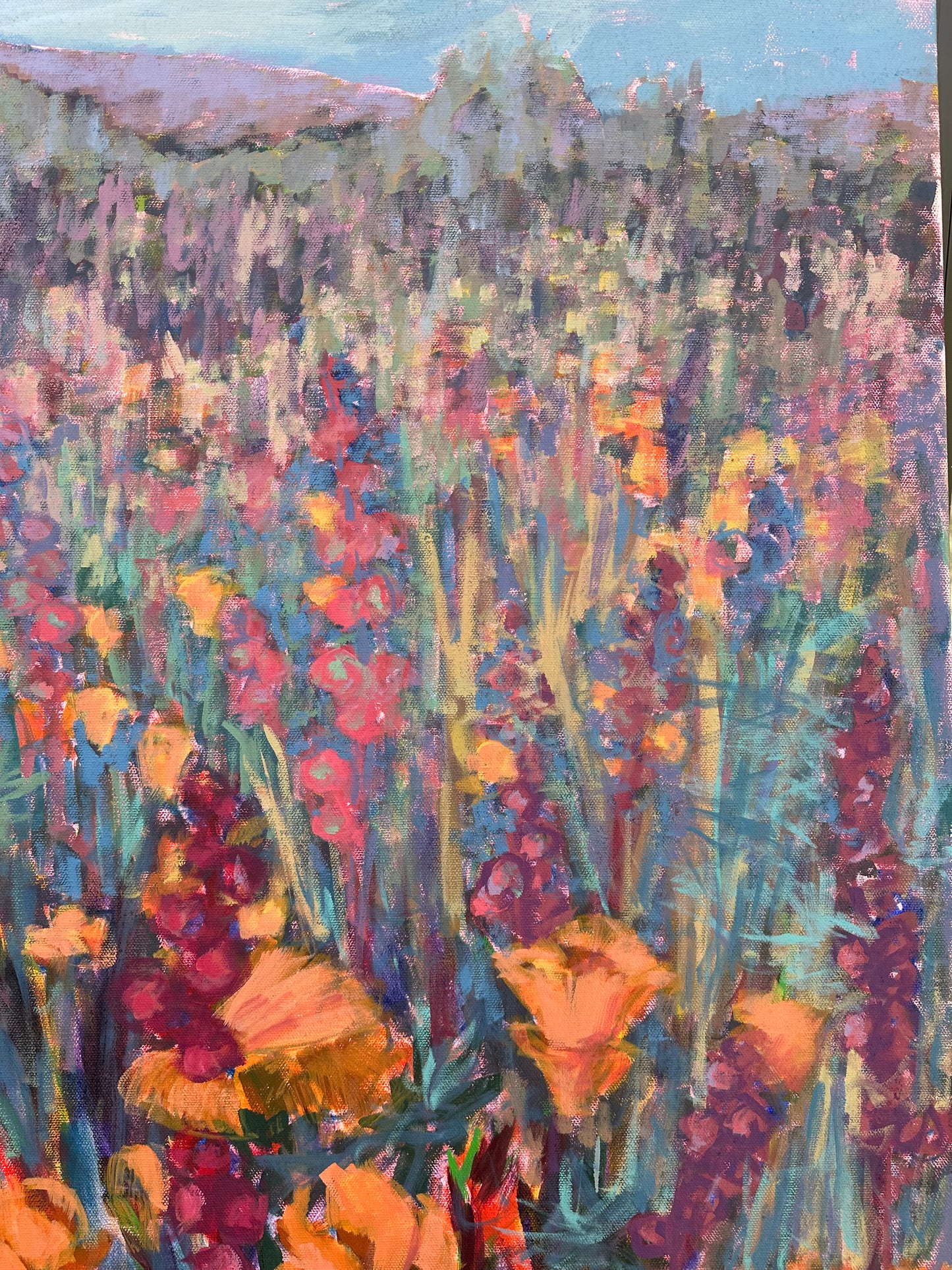 Poppy Fields 36x48 inches