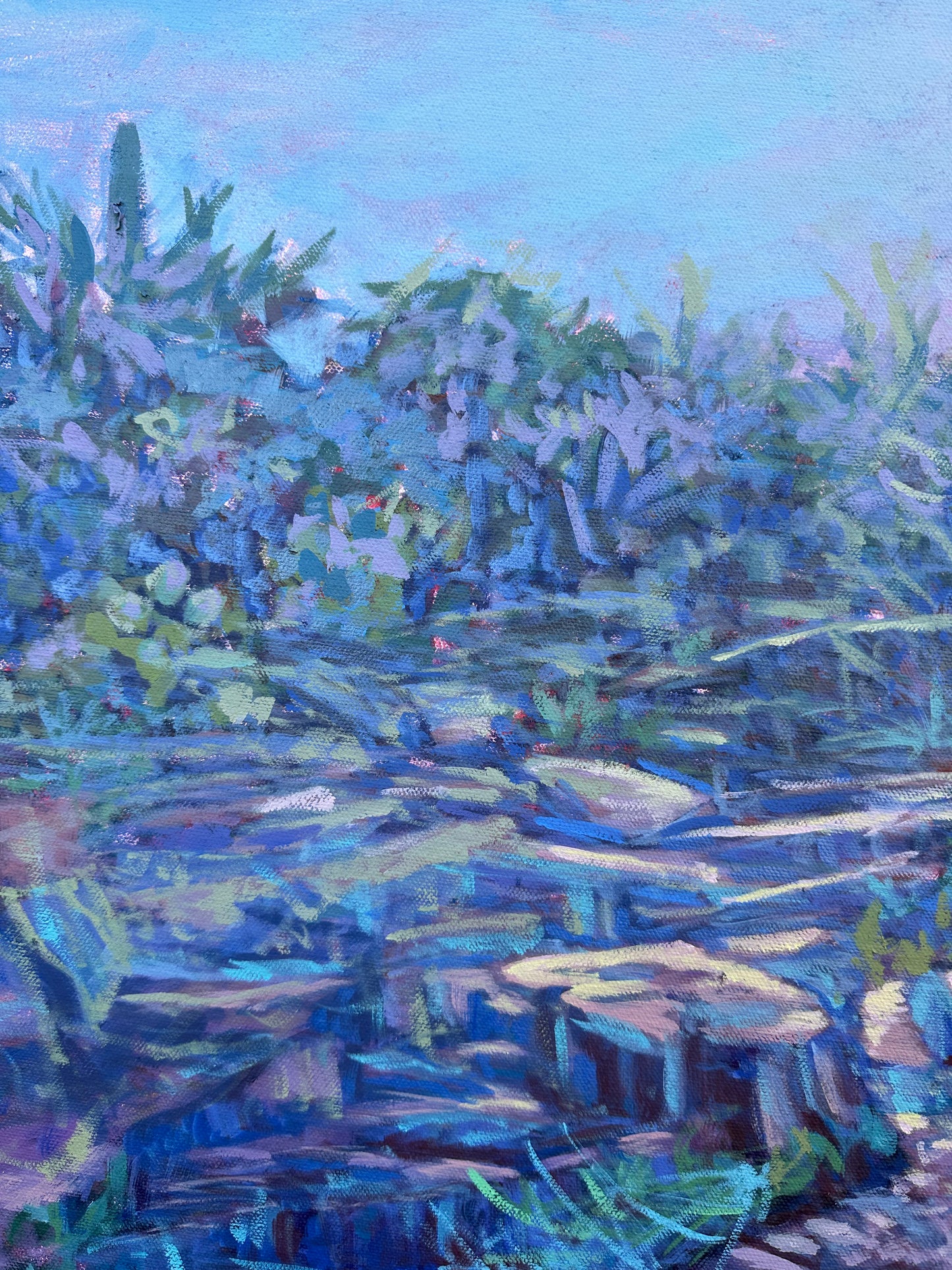 Rocks 24x30 inches