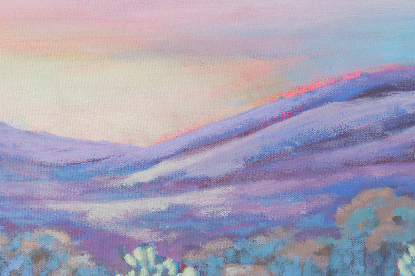 Jumpin’ Dusky Desert Chollas 30x40 inches