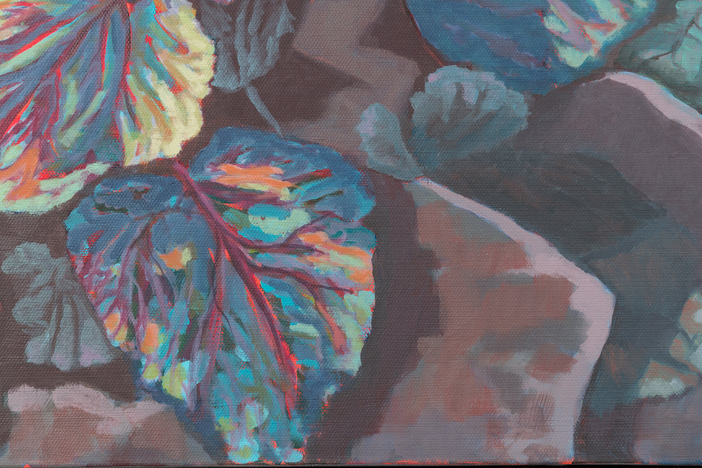 Black Mountain Foliage 20x24 inches