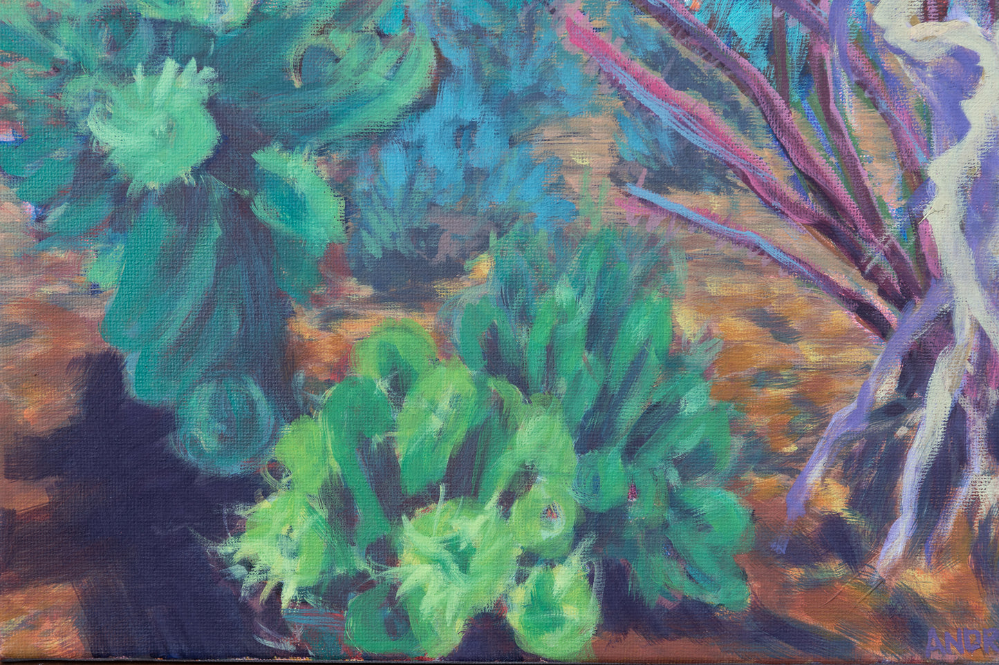 Teddy Bear Cactus 12x16 inches