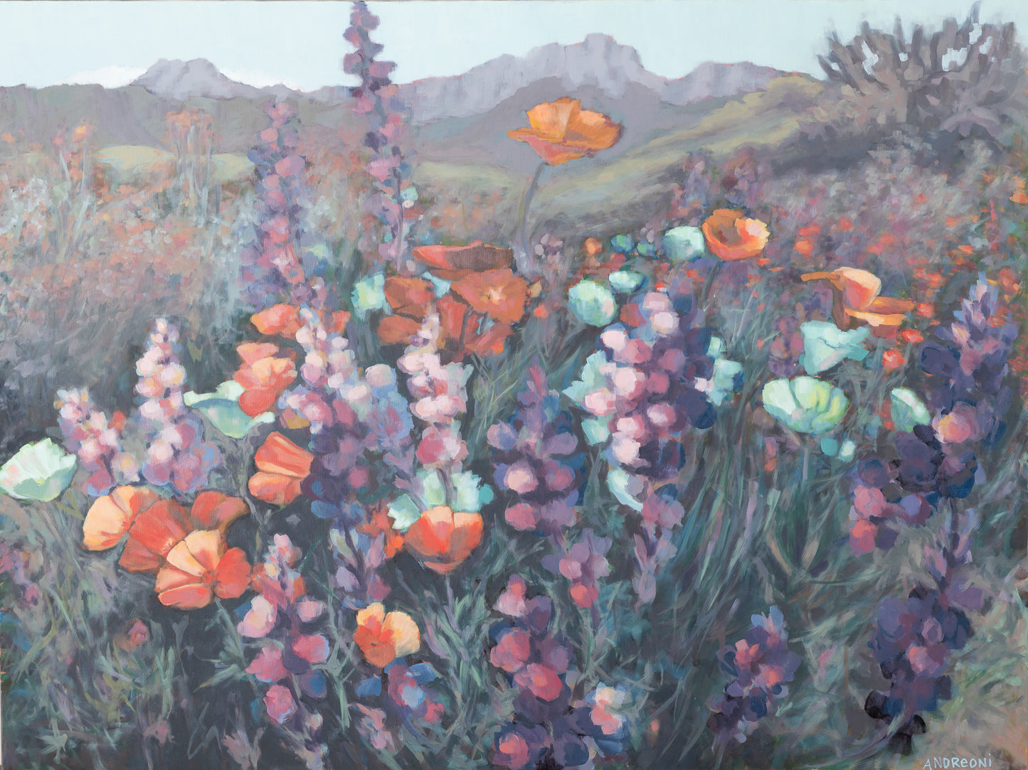 *Arizona Poppies 36x48 inches