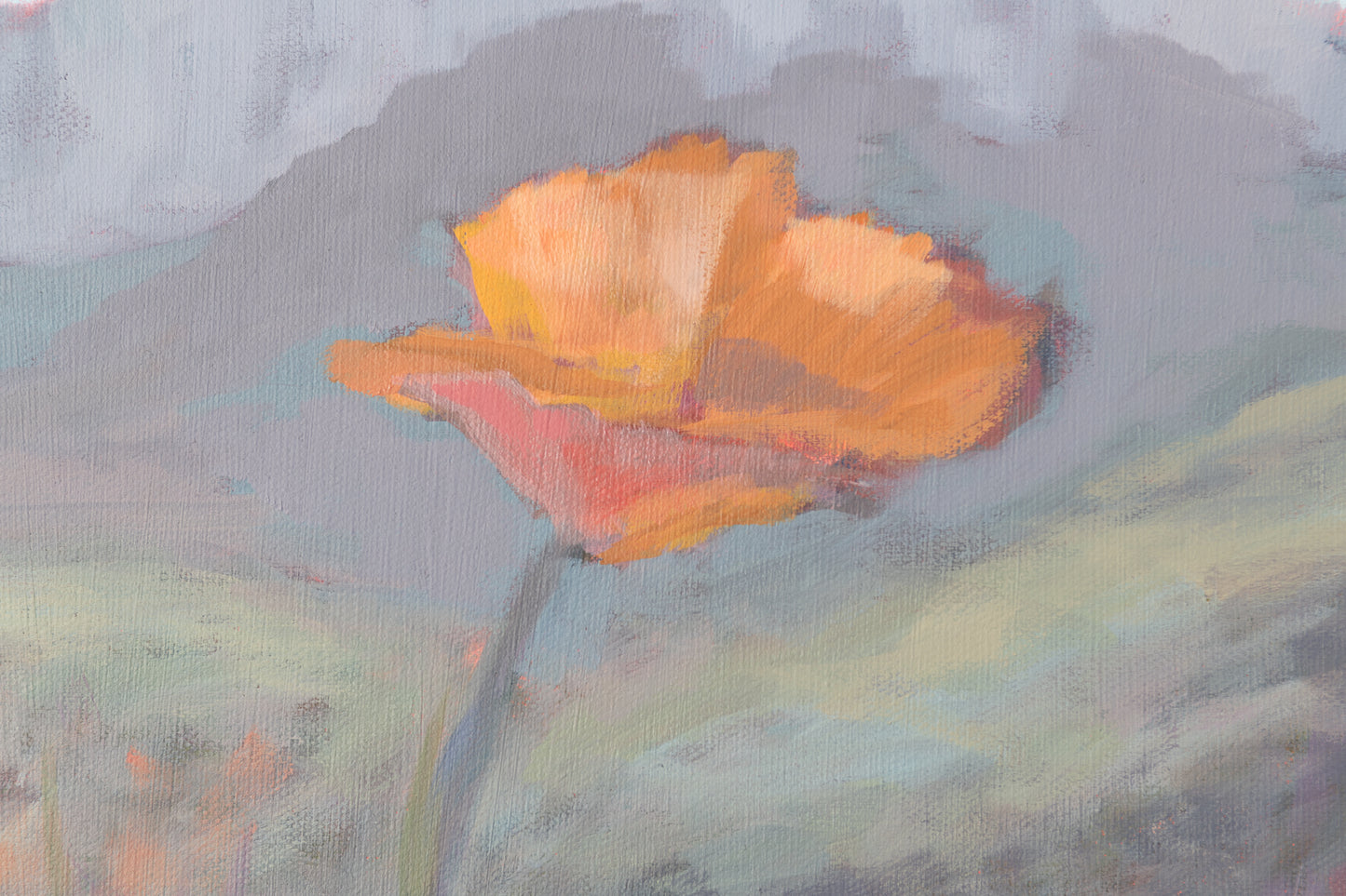 *Arizona Poppies 36x48 inches