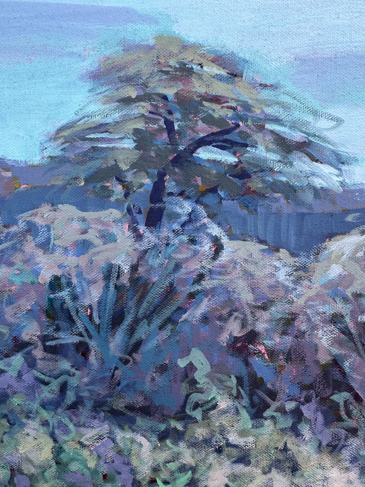 Desert Broom 36x48 inches