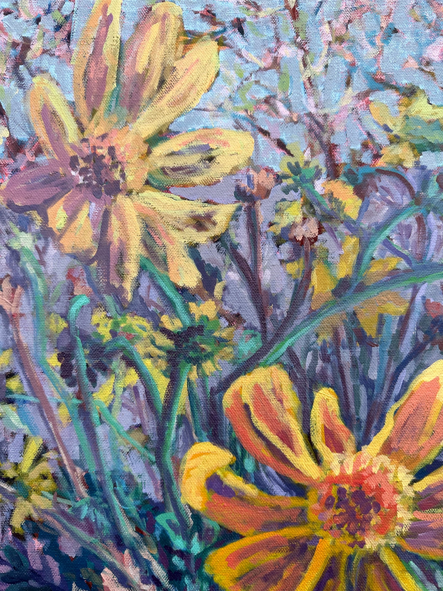 Desert Marigold 20x24 inches